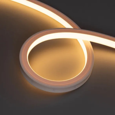 Гибкий неон  050609