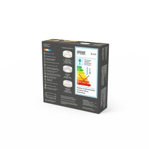 Настенно-потолочный светильник  BL216